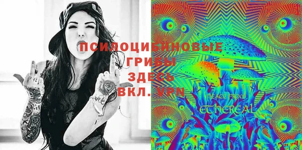 круглые Ладушкин