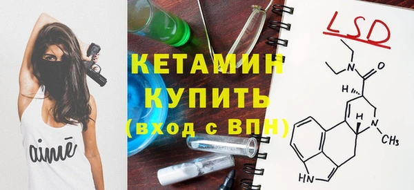 гашик Кулебаки