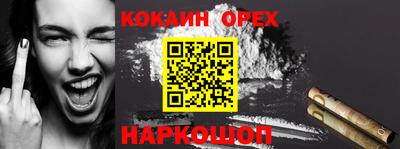 PSILOCYBIN Гатчина