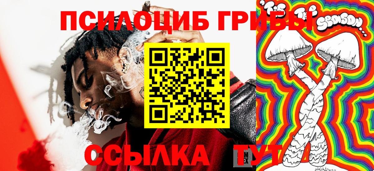 Псилоцибиновые грибы Psilocybe  Вход с VPN  Звенигород 