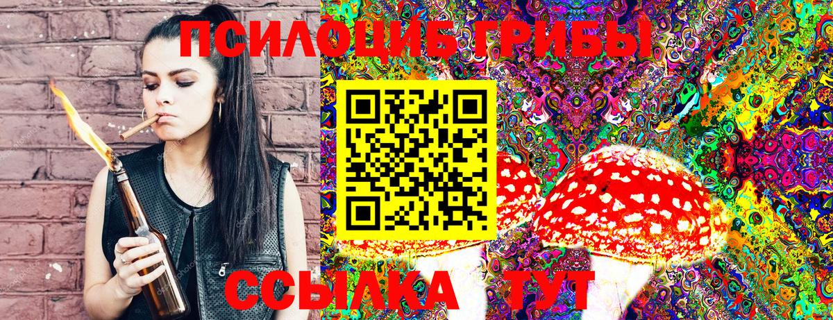 Галлюциногенные грибы Psilocybe Звенигород